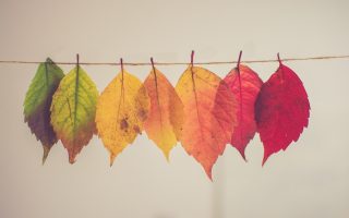 25 Autumn Craft Ideas for Kids