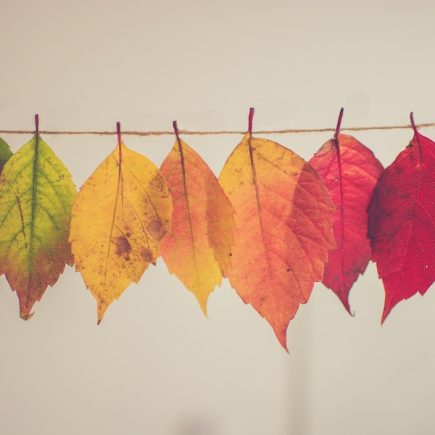 25 Autumn Craft Ideas for Kids