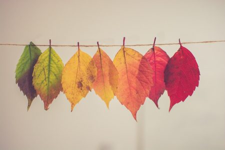 25 Autumn Craft Ideas for Kids